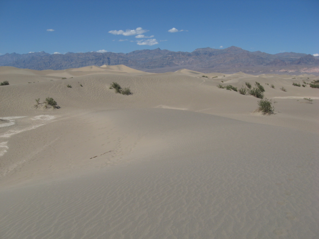 Hilly sand dunes